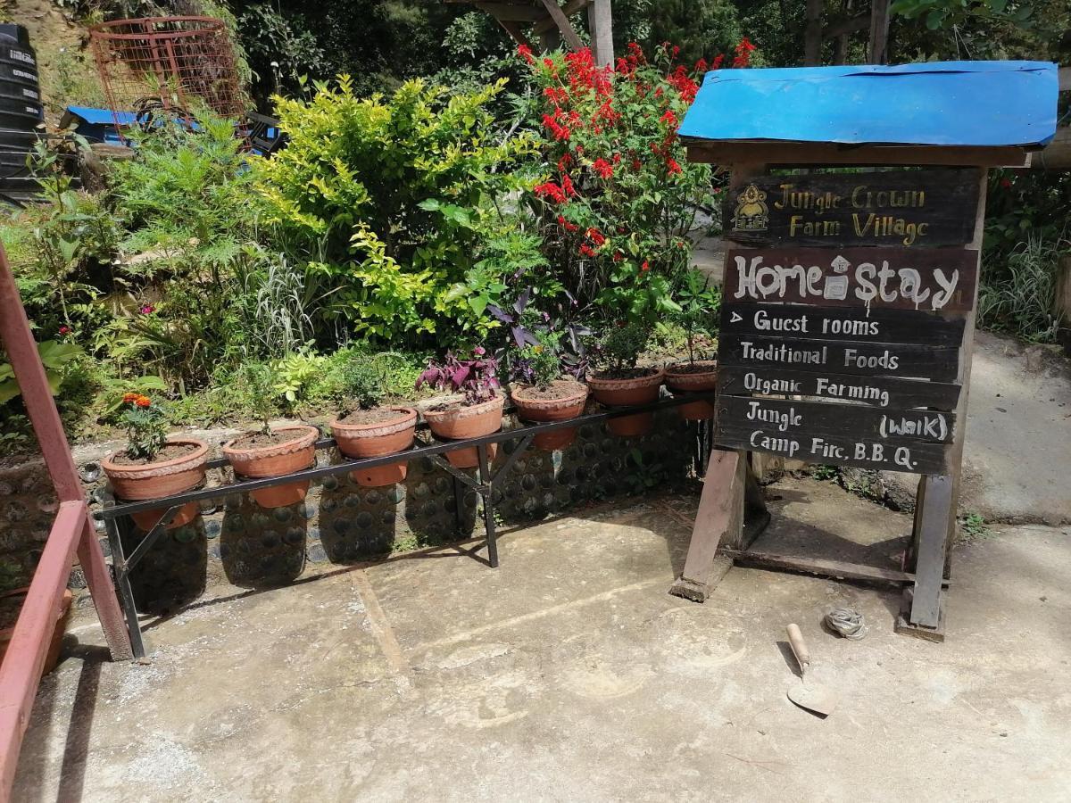 נגאקוט Jungle Crown Organic Homestay מראה חיצוני תמונה
