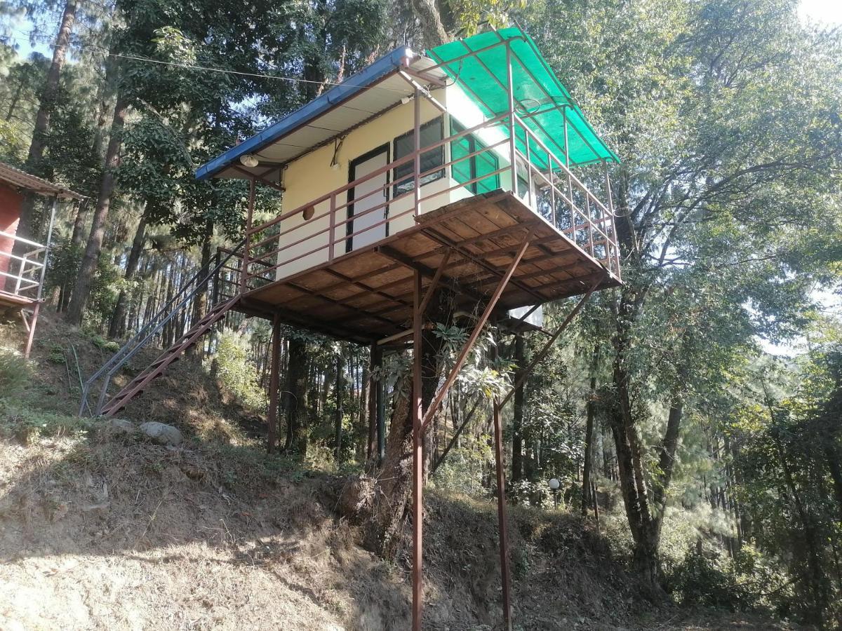 נגאקוט Jungle Crown Organic Homestay מראה חיצוני תמונה