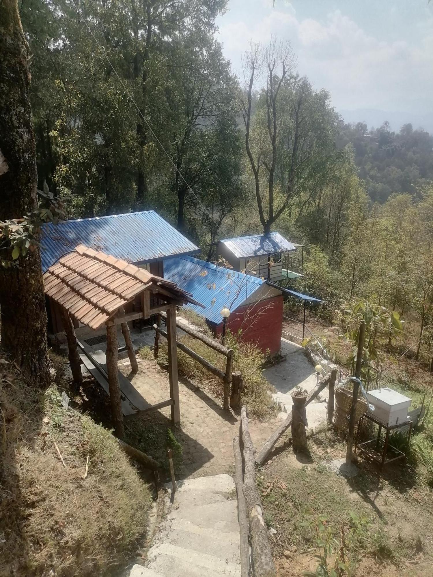 נגאקוט Jungle Crown Organic Homestay מראה חיצוני תמונה