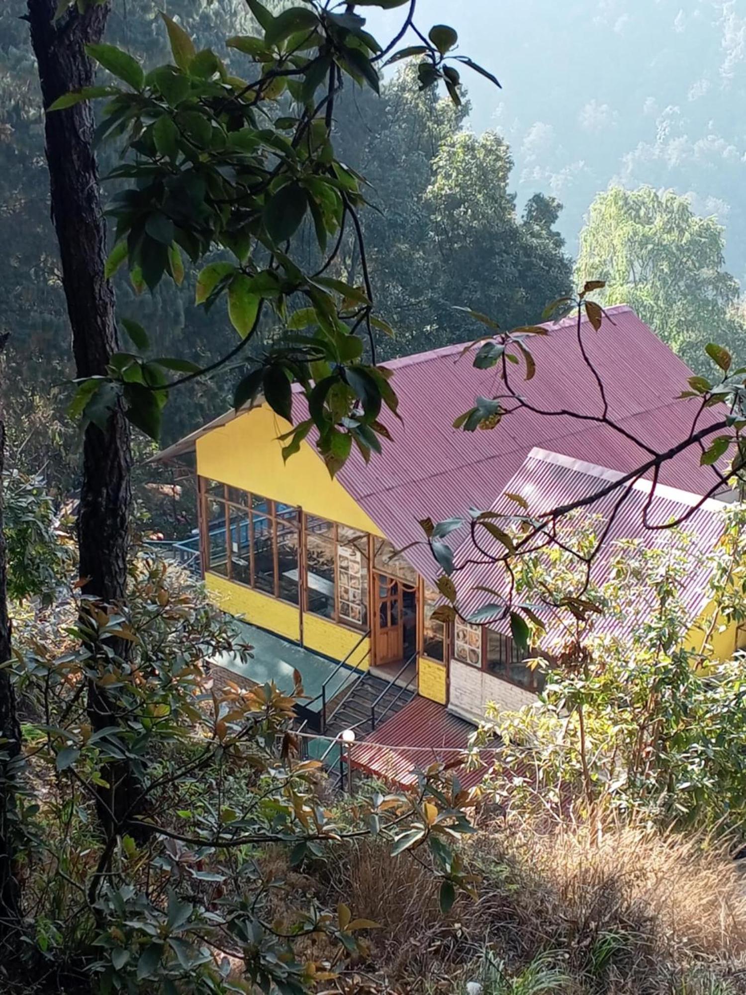 נגאקוט Jungle Crown Organic Homestay מראה חיצוני תמונה