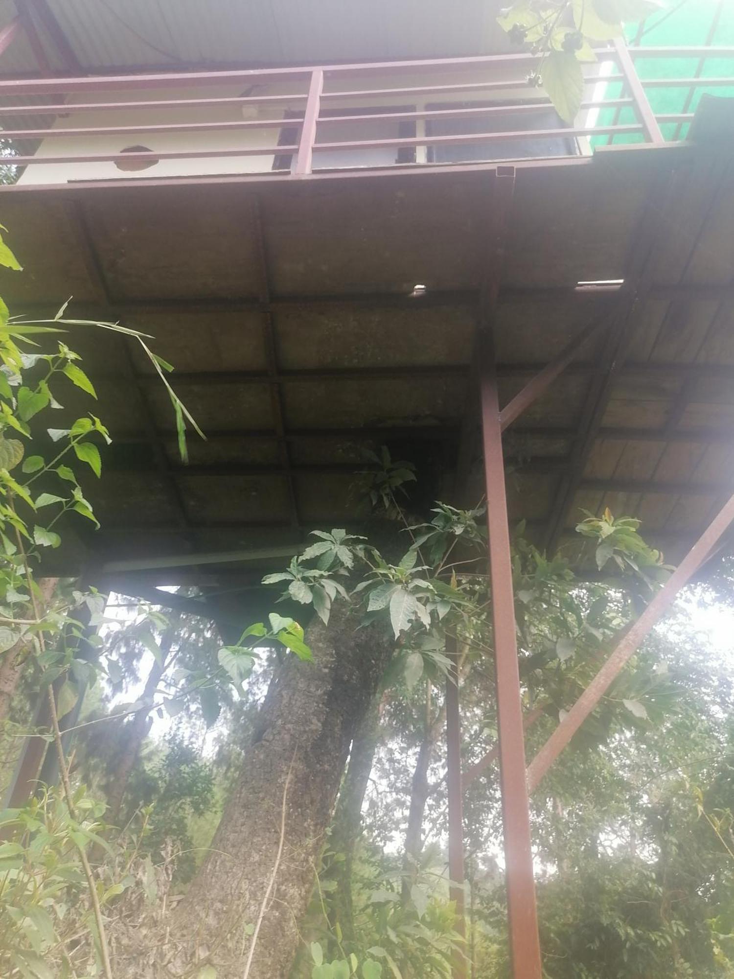 נגאקוט Jungle Crown Organic Homestay חדר תמונה