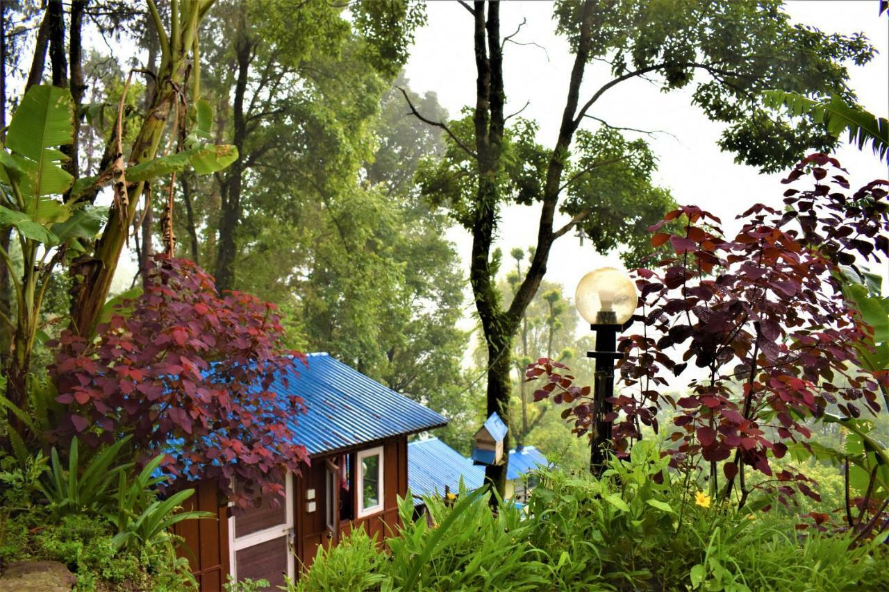 נגאקוט Jungle Crown Organic Homestay מראה חיצוני תמונה