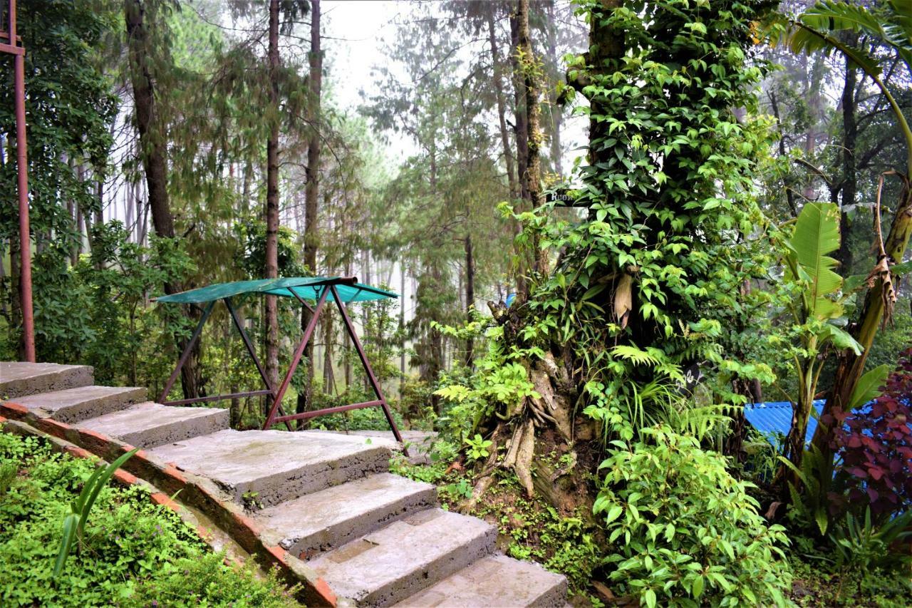 נגאקוט Jungle Crown Organic Homestay מראה חיצוני תמונה