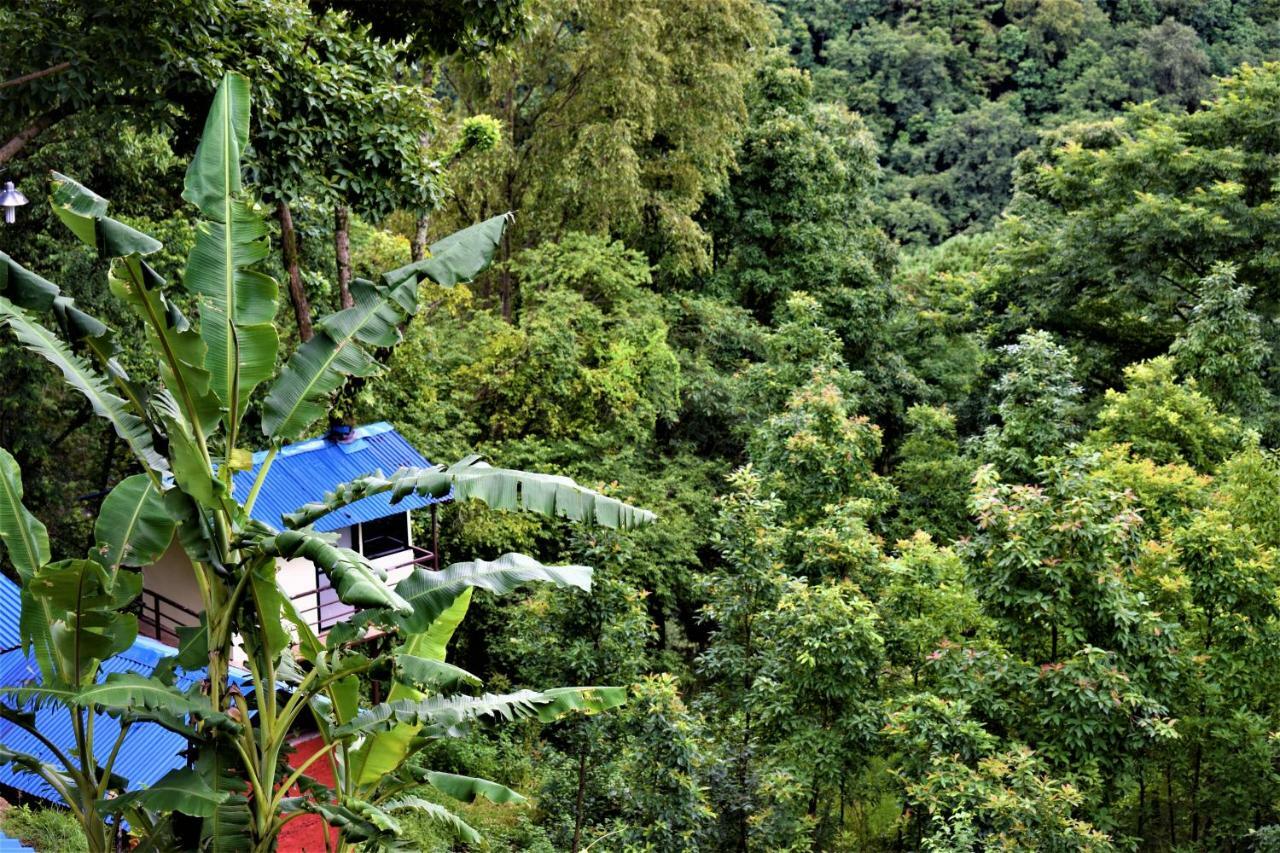 נגאקוט Jungle Crown Organic Homestay מראה חיצוני תמונה