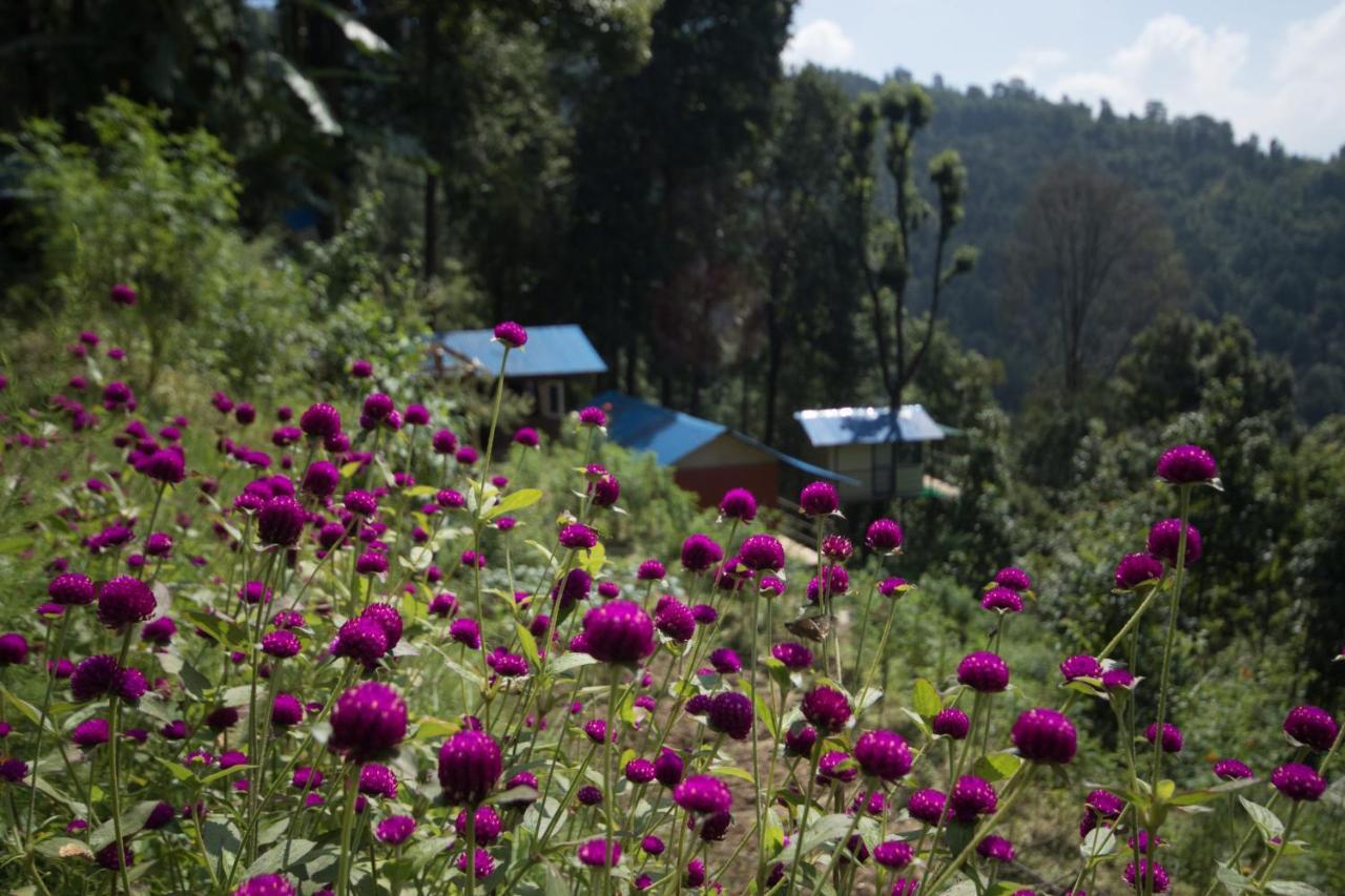נגאקוט Jungle Crown Organic Homestay מראה חיצוני תמונה
