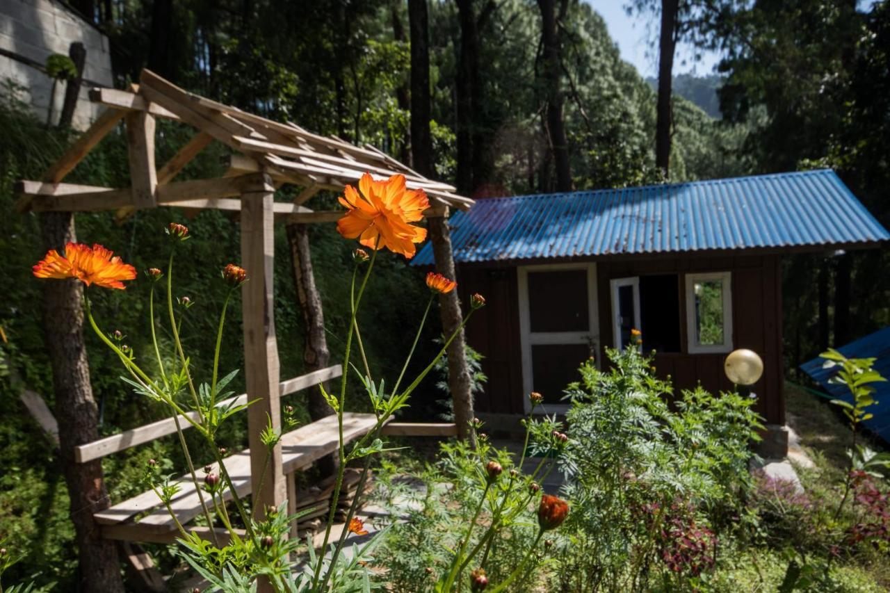 נגאקוט Jungle Crown Organic Homestay מראה חיצוני תמונה