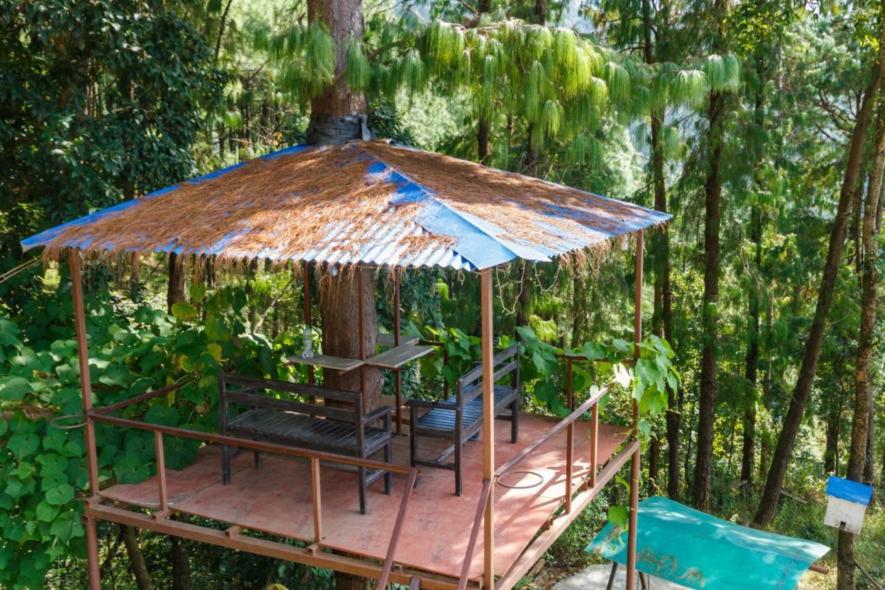 נגאקוט Jungle Crown Organic Homestay מראה חיצוני תמונה