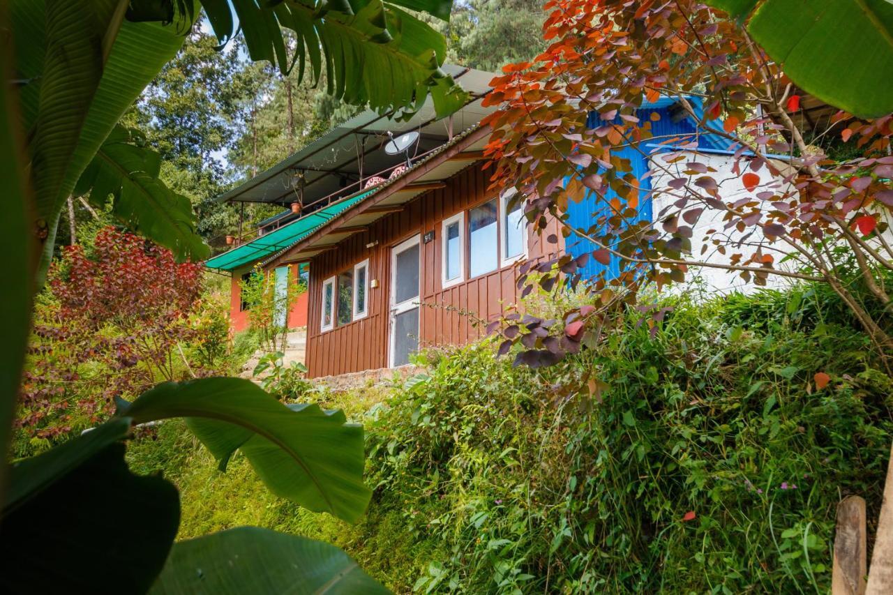 נגאקוט Jungle Crown Organic Homestay מראה חיצוני תמונה
