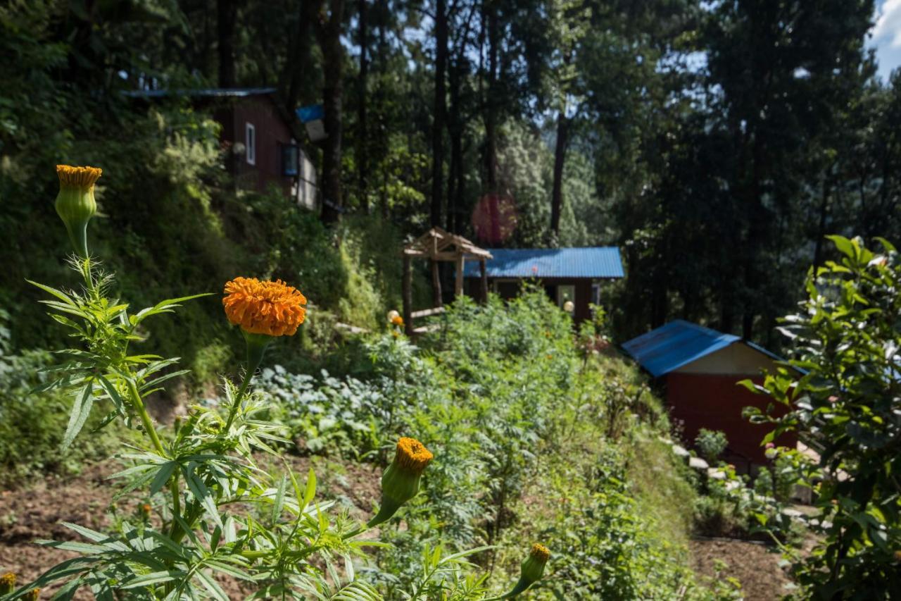 נגאקוט Jungle Crown Organic Homestay מראה חיצוני תמונה